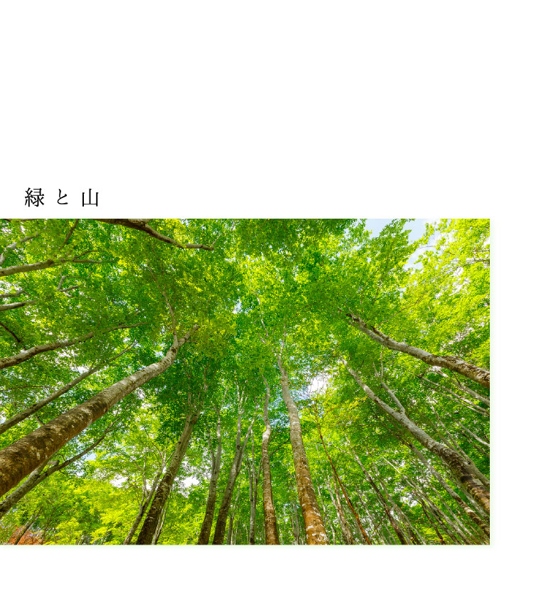 緑と山
