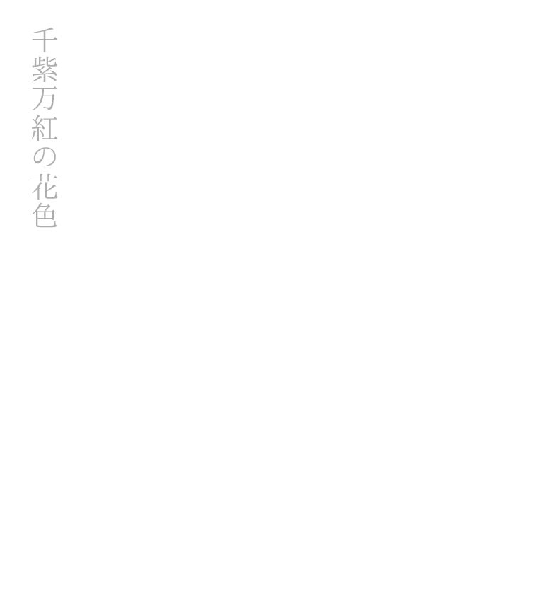 千紫万紅の花色