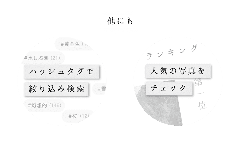 他にも【ハッシュタグで絞り込み検索】【ランキングで人気の写真をチェック】